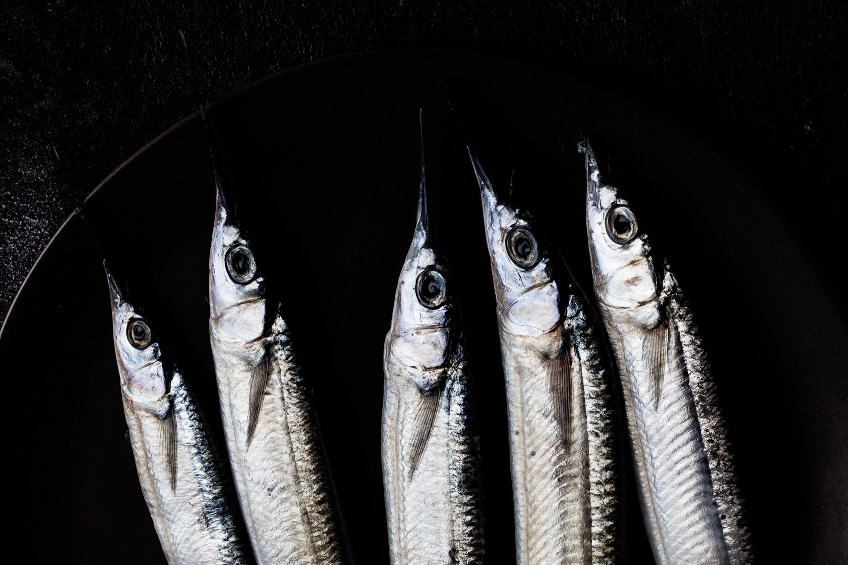 florida-food-photographer-48